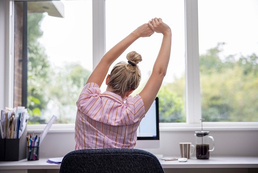 Ergonomic office chair or Sitness dynamic seat? How to make an informed choice